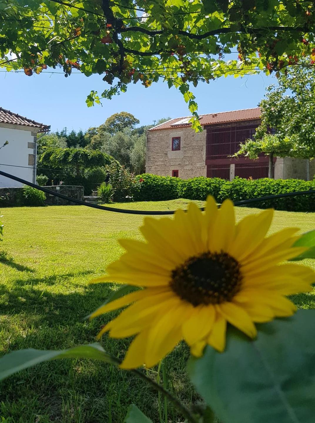 Casas Da Quinta Da Cancela Balugaes Ngoại thất bức ảnh